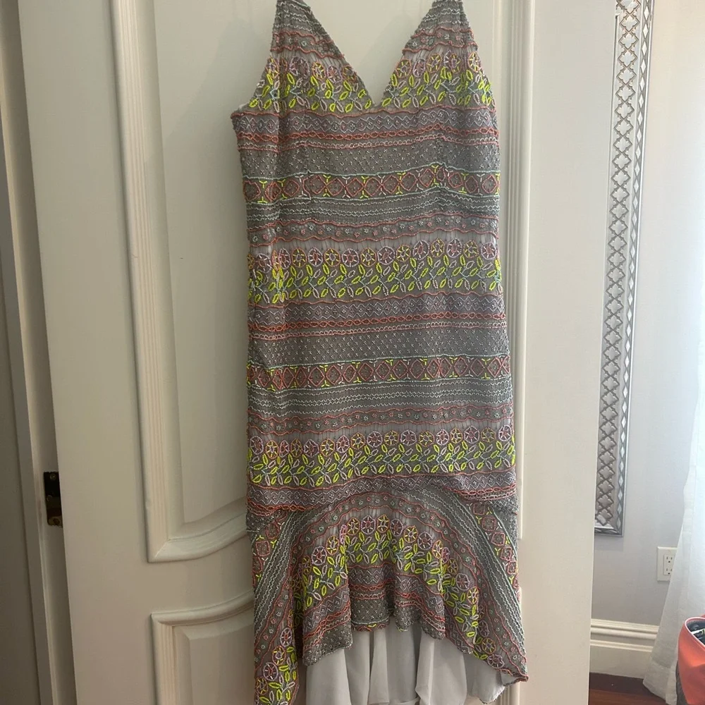 Alice + Olivia Amina All Over Embroidery Sweetheart Neck Dress - Brand New sz 10 - Picture 9 of 12